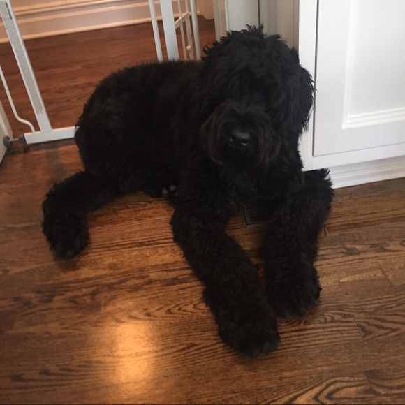 bella_019